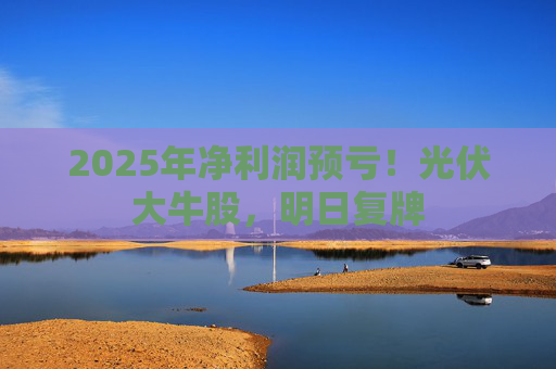 2025年净利润预亏！光伏大牛股，明日复牌