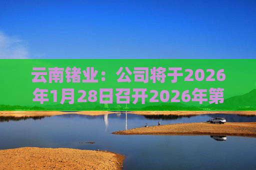 云南锗业：公司将于2026年1月28日召开2026年第一次临时股东会