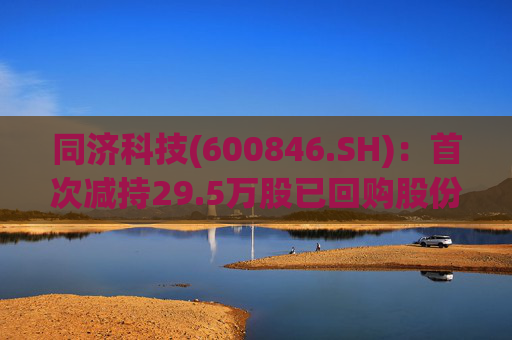 同济科技(600846.SH)：首次减持29.5万股已回购股份  第1张
