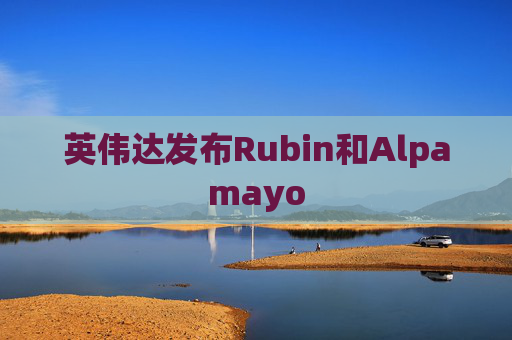 英伟达发布Rubin和Alpamayo  第1张