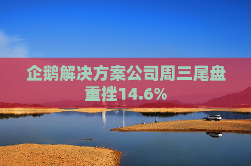 企鹅解决方案公司周三尾盘重挫14.6%