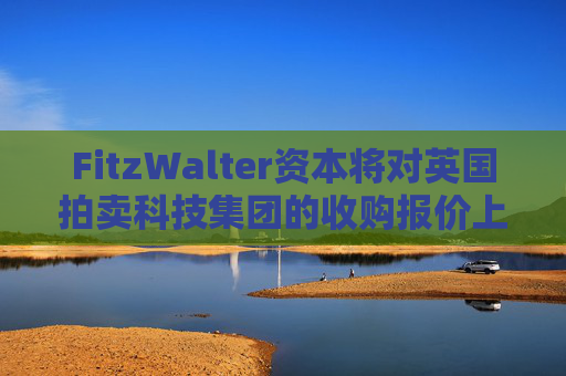 FitzWalter资本将对英国拍卖科技集团的收购报价上调至6.58亿美元