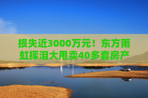 损失近3000万元！东方雨虹挥泪大甩卖40多套房产