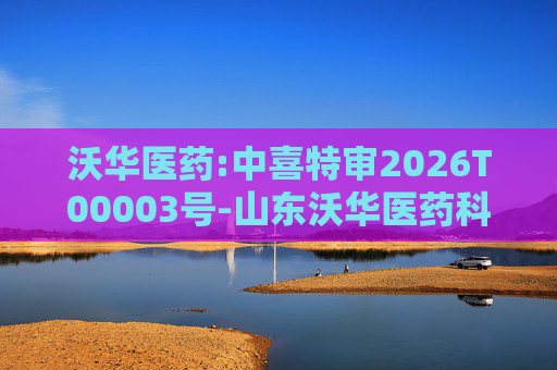 沃华医药:中喜特审2026T00003号-山东沃华医药科技股份有限公司-关联资金占用报告