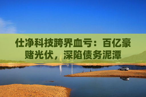 仕净科技跨界血亏：百亿豪赌光伏，深陷债务泥潭  第1张