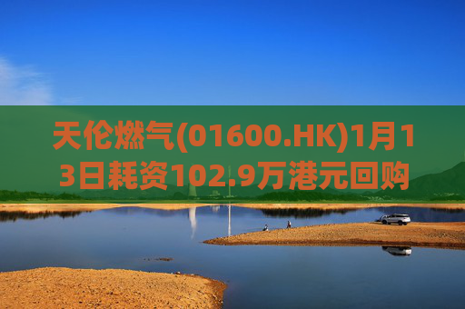 天伦燃气(01600.HK)1月13日耗资102.9万港元回购35万股