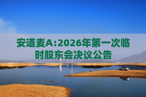 安道麦A:2026年第一次临时股东会决议公告