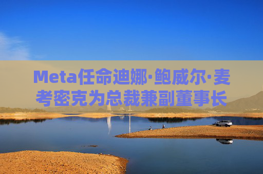 Meta任命迪娜·鲍威尔·麦考密克为总裁兼副董事长  第1张