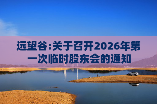远望谷:关于召开2026年第一次临时股东会的通知