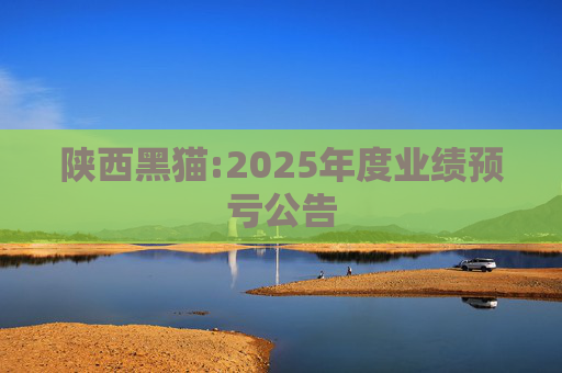 陕西黑猫:2025年度业绩预亏公告