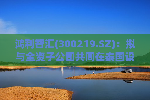 鸿利智汇(300219.SZ)：拟与全资子公司共同在泰国设立公司