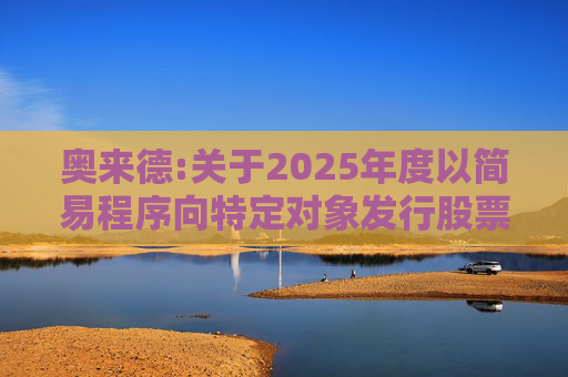 奥来德:关于2025年度以简易程序向特定对象发行股票预案修订说明的公告