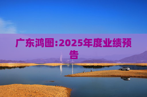 广东鸿图:2025年度业绩预告