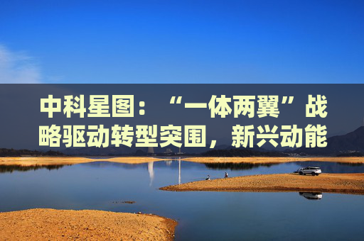 中科星图：“一体两翼”战略驱动转型突围，新兴动能加速释放