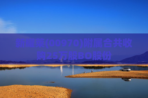 新耀莱(00970)附属合共收购25万股BO股份