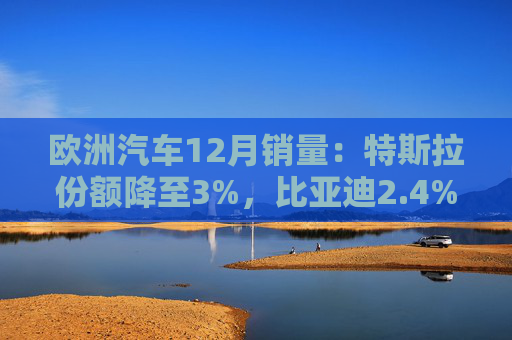 欧洲汽车12月销量：特斯拉份额降至3%，比亚迪2.4%