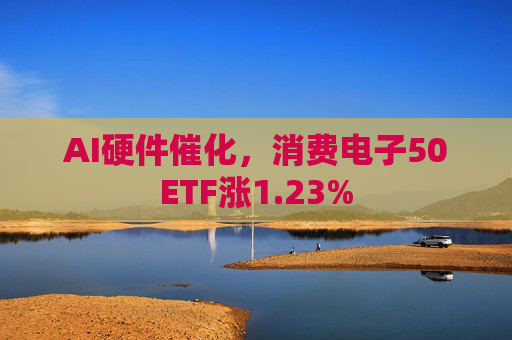 AI硬件催化，消费电子50ETF涨1.23%