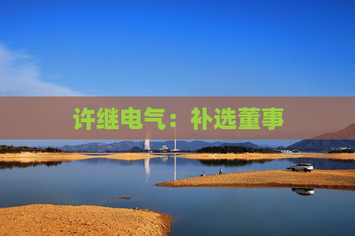 许继电气：补选董事