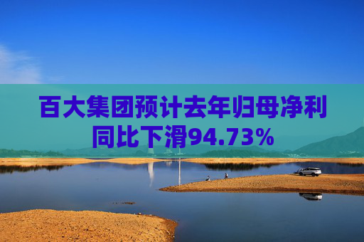 百大集团预计去年归母净利同比下滑94.73%
