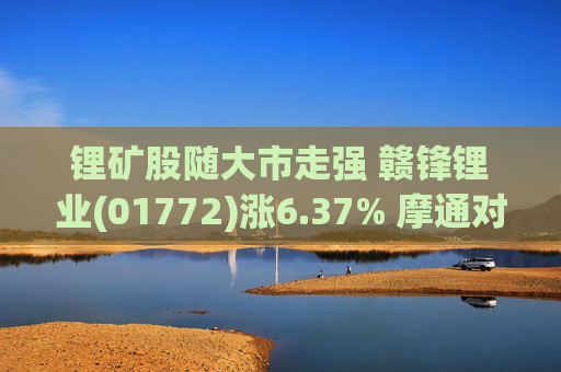 锂矿股随大市走强 赣锋锂业(01772)涨6.37% 摩通对短期锂价更为乐观