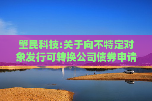 肇民科技:关于向不特定对象发行可转换公司债券申请获得深圳证券交易所受理的公告