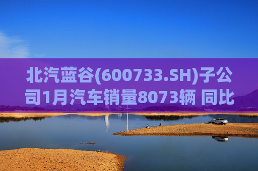 北汽蓝谷(600733.SH)子公司1月汽车销量8073辆 同比增长11.83%