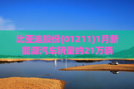 比亚迪股份(01211)1月新能源汽车销量约21万辆