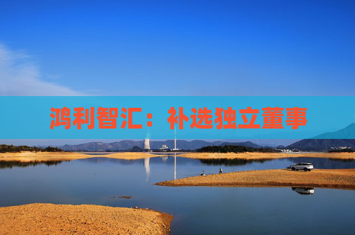 鸿利智汇：补选独立董事