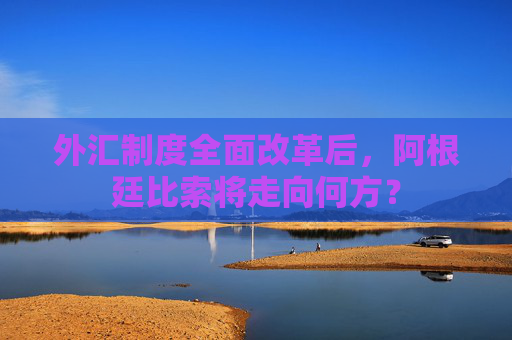 外汇制度全面改革后，阿根廷比索将走向何方？