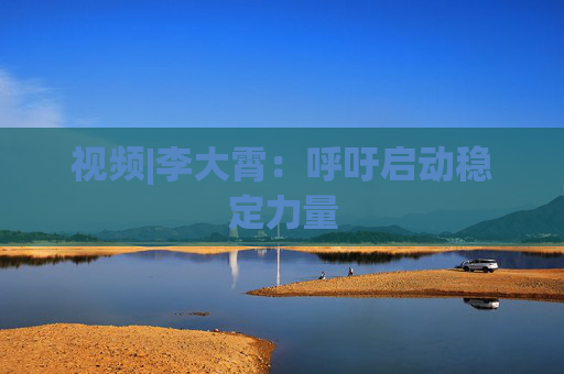 视频|李大霄：呼吁启动稳定力量