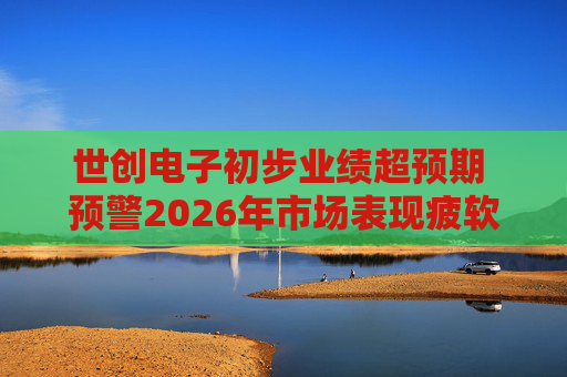 世创电子初步业绩超预期 预警2026年市场表现疲软
