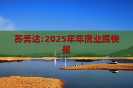 苏美达:2025年年度业绩快报