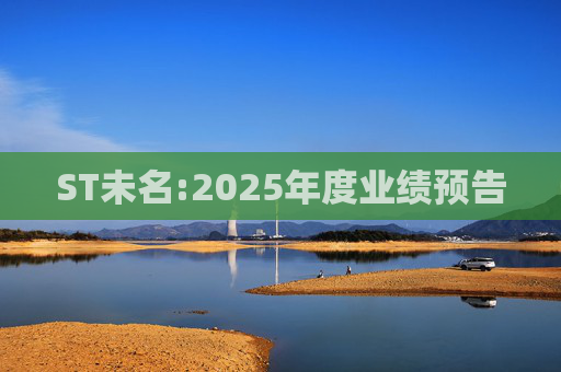 ST未名:2025年度业绩预告