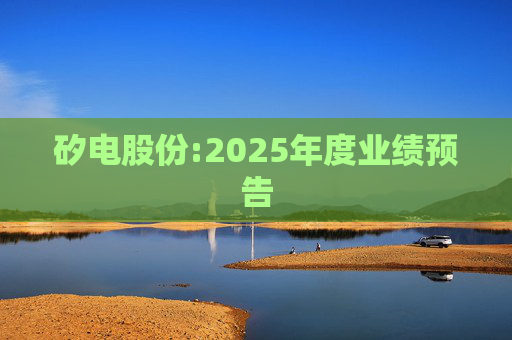 矽电股份:2025年度业绩预告