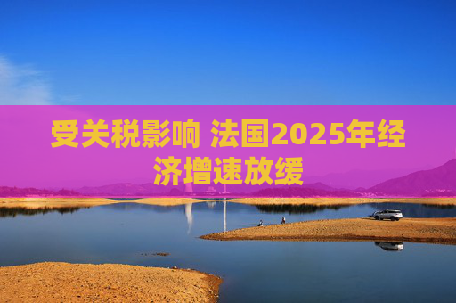 受关税影响 法国2025年经济增速放缓