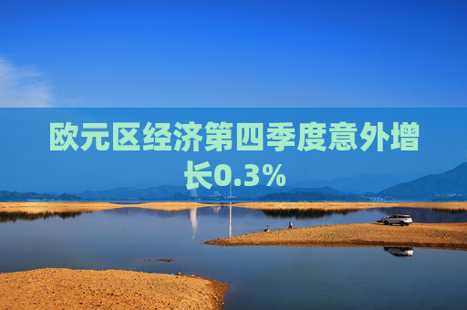欧元区经济第四季度意外增长0.3%
