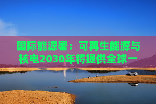 国际能源署：可再生能源与核电2030年将提供全球一半电力