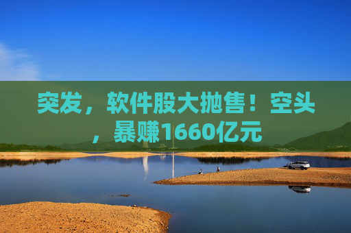 突发，软件股大抛售！空头，暴赚1660亿元