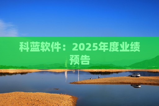 科蓝软件：2025年度业绩预告