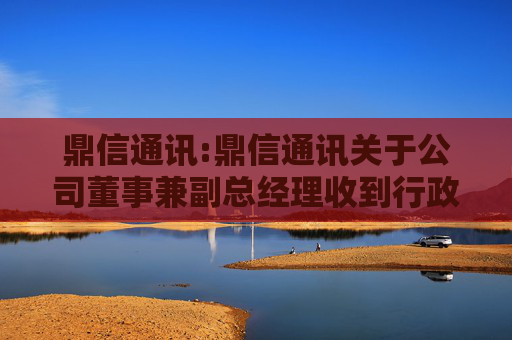 鼎信通讯:鼎信通讯关于公司董事兼副总经理收到行政处罚决定书的公告