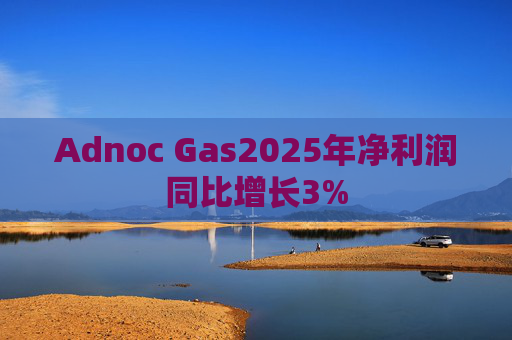 Adnoc Gas2025年净利润同比增长3%