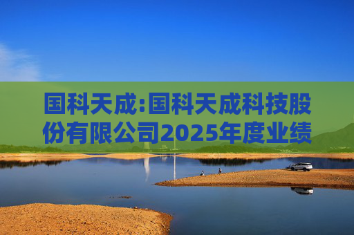 国科天成:国科天成科技股份有限公司2025年度业绩快报