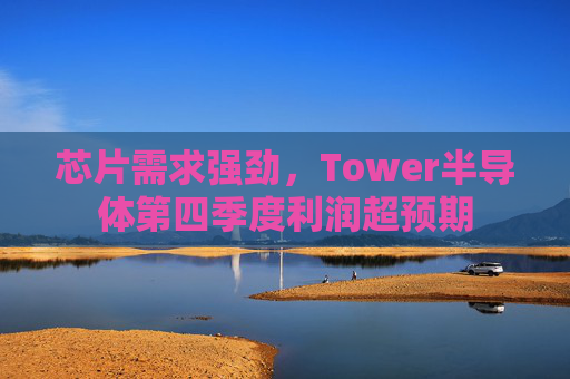 芯片需求强劲，Tower半导体第四季度利润超预期