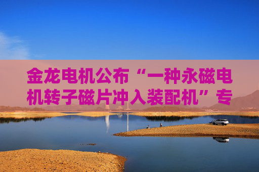 金龙电机公布“一种永磁电机转子磁片冲入装配机”专利