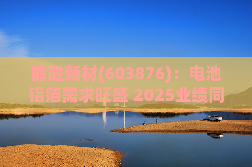 鼎胜新材(603876)：电池铝箔需求旺盛 2025业绩同比高增