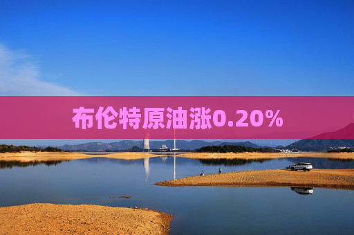 布伦特原油涨0.20%