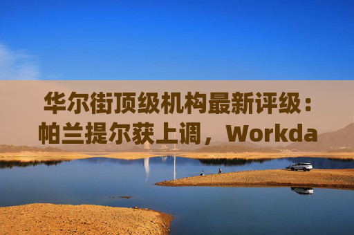 华尔街顶级机构最新评级：帕兰提尔获上调，Workday遭下调