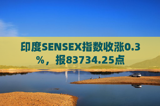 印度SENSEX指数收涨0.3%，报83734.25点
