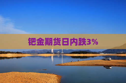 钯金期货日内跌3%