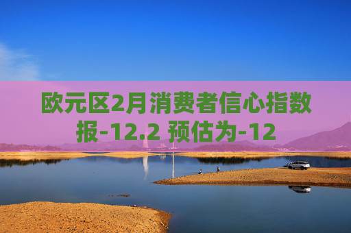 欧元区2月消费者信心指数报-12.2 预估为-12